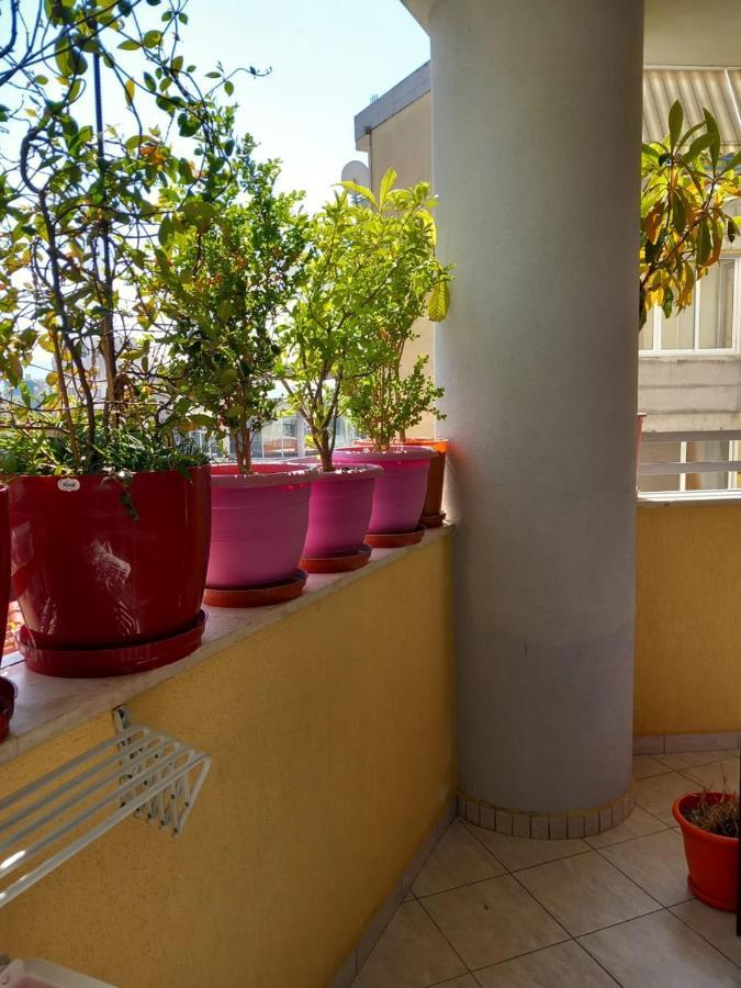 Holiday Center Apartment Shkoder Bagian luar foto